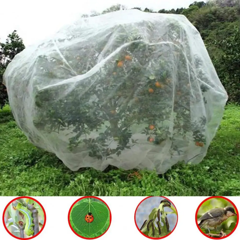 Plant Covers Breathable Wind-Prevent  Insect Bird Barrier Netting Fruit Vegetable Tree Barrier Grapes Anti-Bird Plant Protector