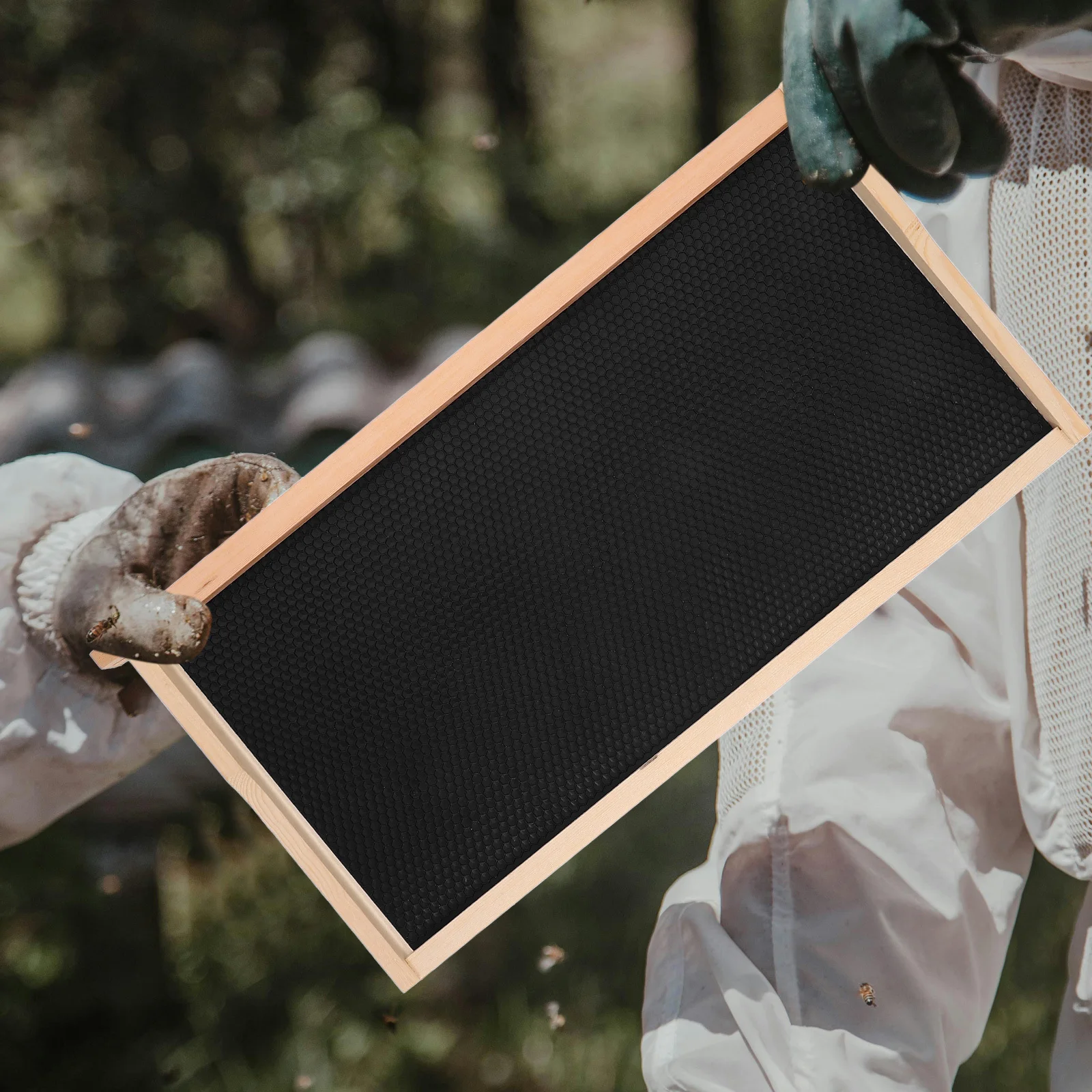 

Beehive Frame Pine Wood Nesting Box Large Capacity Efficient Beekeeping Frame Holder Bee Keeping Supplies Honey Harvest Tool