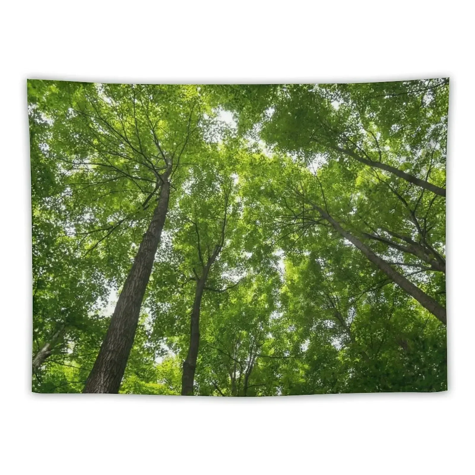 

Natural Skylights - Biophilic Ceiling in the Forest Tapestry Room Decore Aesthetic Home Decor Accessories Tapestry