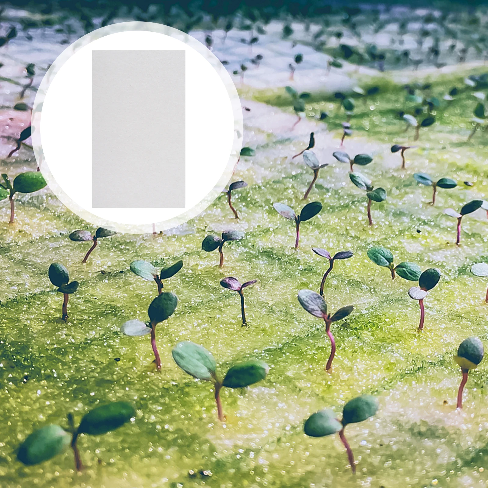 

150pcs Planting Paper for Seeds Sprouts Microgreens Germinating Cultivation Growing Tray Durable Water Imbibition Prevent