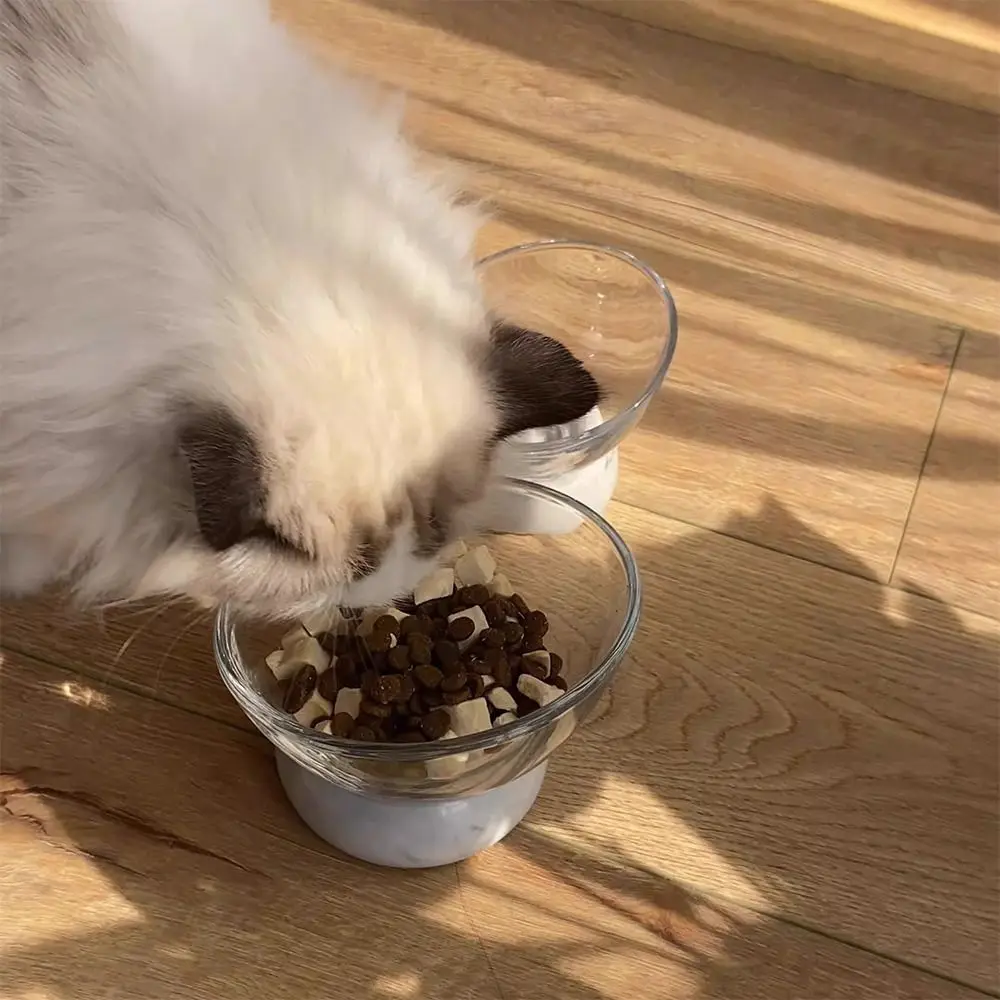 

Detachable Cat Bowl Non-slip Prevent Tipping Pet Drinking Feeder Large Capacity Slanted Mouth Pet Food Dispenser Kitchen