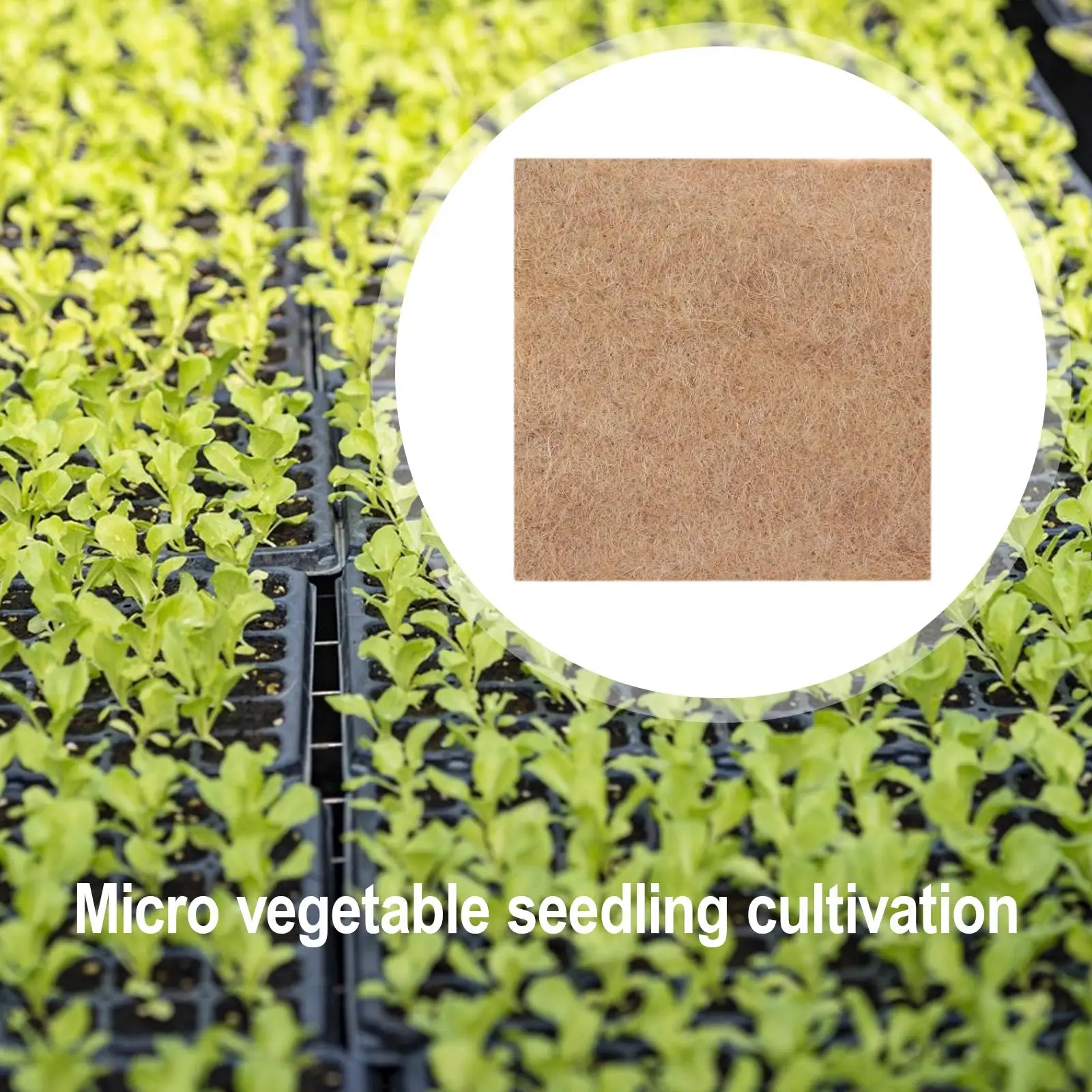 Alfombrilla de yute para microvegetales, kit hidropónico sin suelo de alta absorción para plántulas agrícolas y pasto de trigo