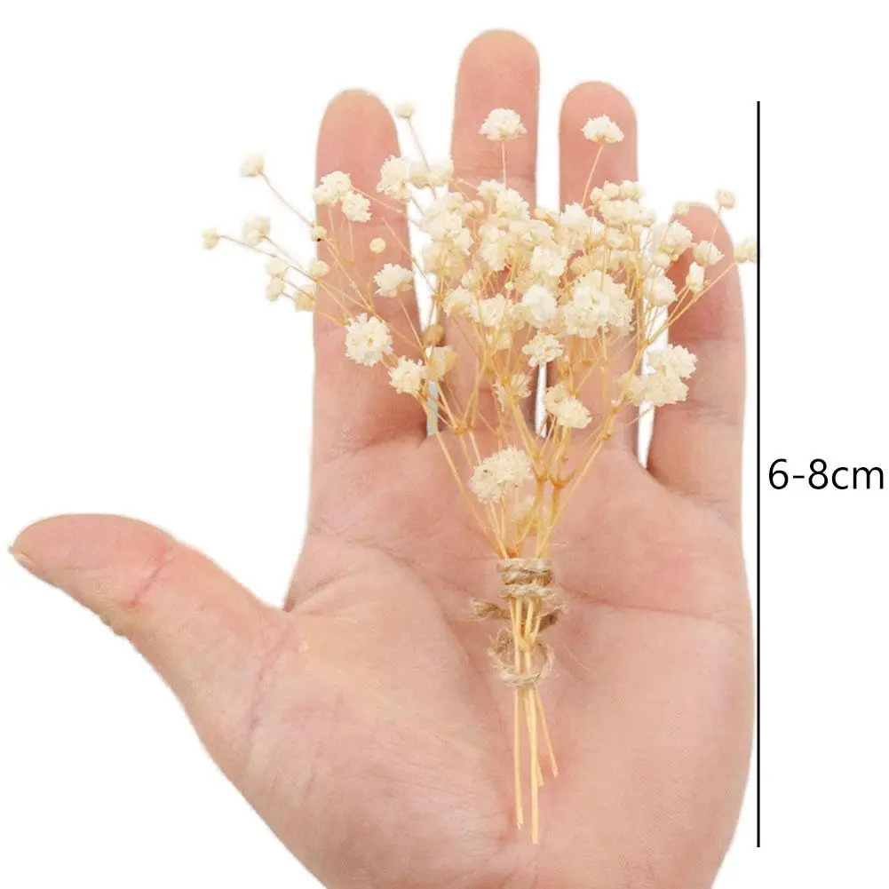 100 STKS Mini Gedroogde Gypsophila Bloem DIY Aromatherapie Valentijn Bruiloft Foto Prop Decor Home Decor Eeuwige Bloemen