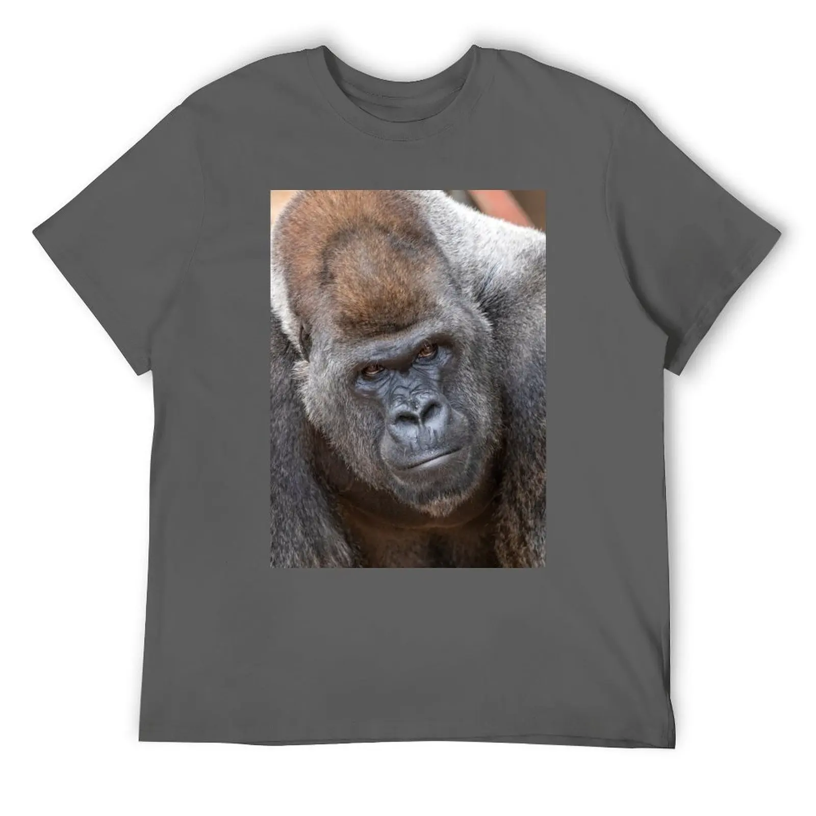 

Gorilla Stadi at Zoo Atlanta T-Shirt custom shirt fashion shirts cute clothes shirts men