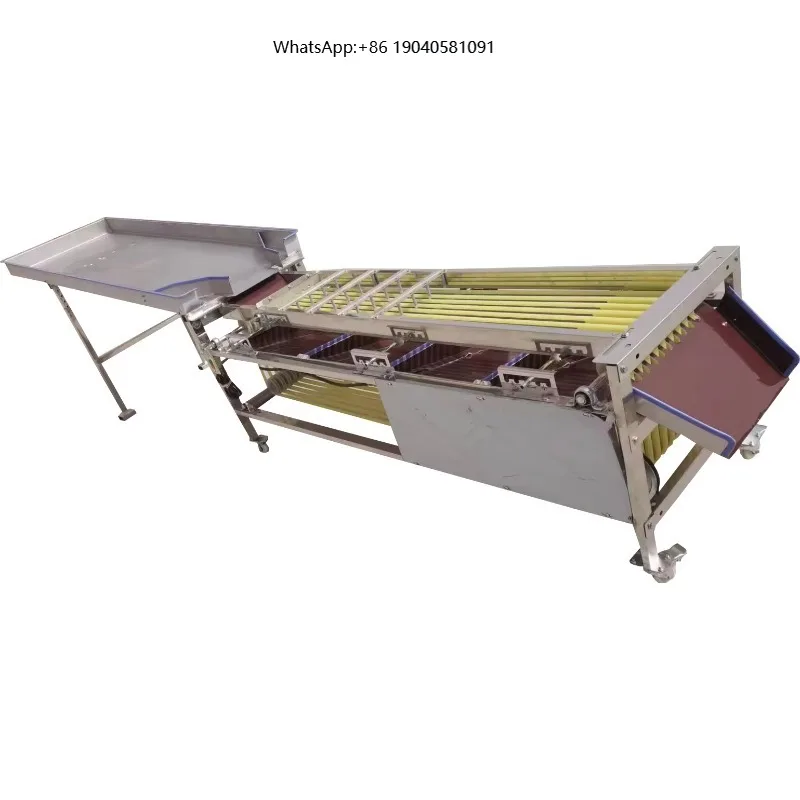 High Productivity Sorting Machine for Fruits Industrial Fruit Sorting Machine Fruit Sorting Machine