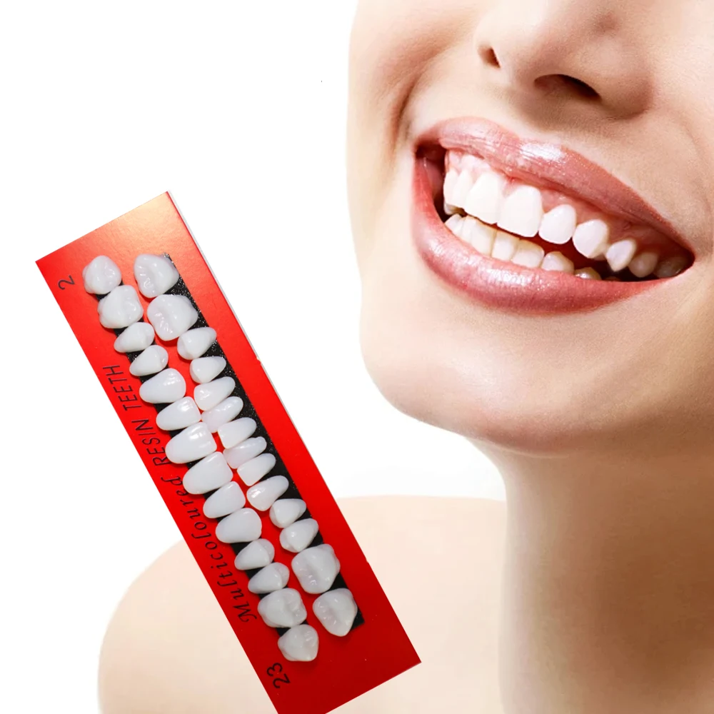 

28 Teeth Dental Study Model Resin Denture Teeth for Education Props Bleaching Research Comparator Mirror & Technician Practice