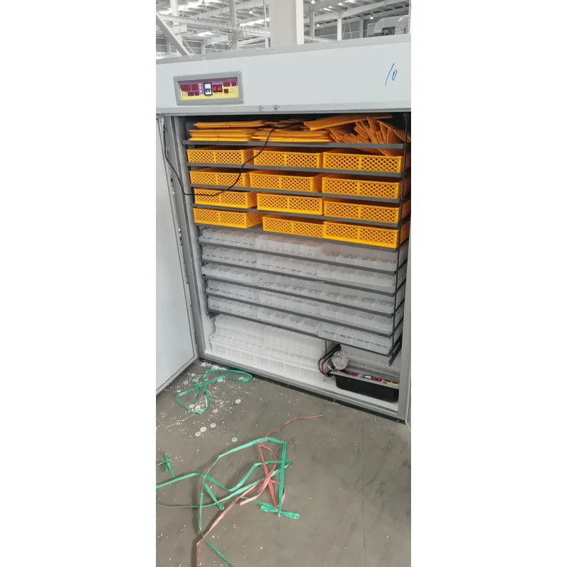 HJ-IH2640 Incubatrice automatica per uova di gallina