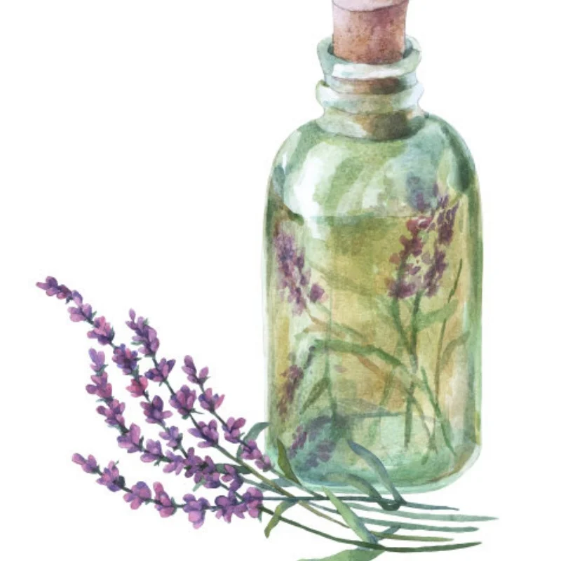 Hobbywing rc carro 120a cartão de programa led caixa de programa 2c 86020010 cartão de programa para xeroun e ezrun série carro sem escova esc