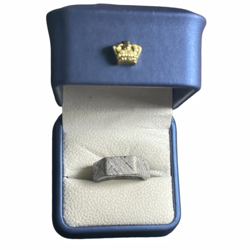 Muonionalusta Meteorite Geometric Ring, Premium Collectible