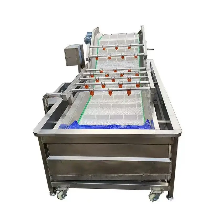 Fruit and Vegetable Bubble Cleaning Machine Vegetable Washing Machine Desalination Equipment Chili Cleaning Assembly Line OME
