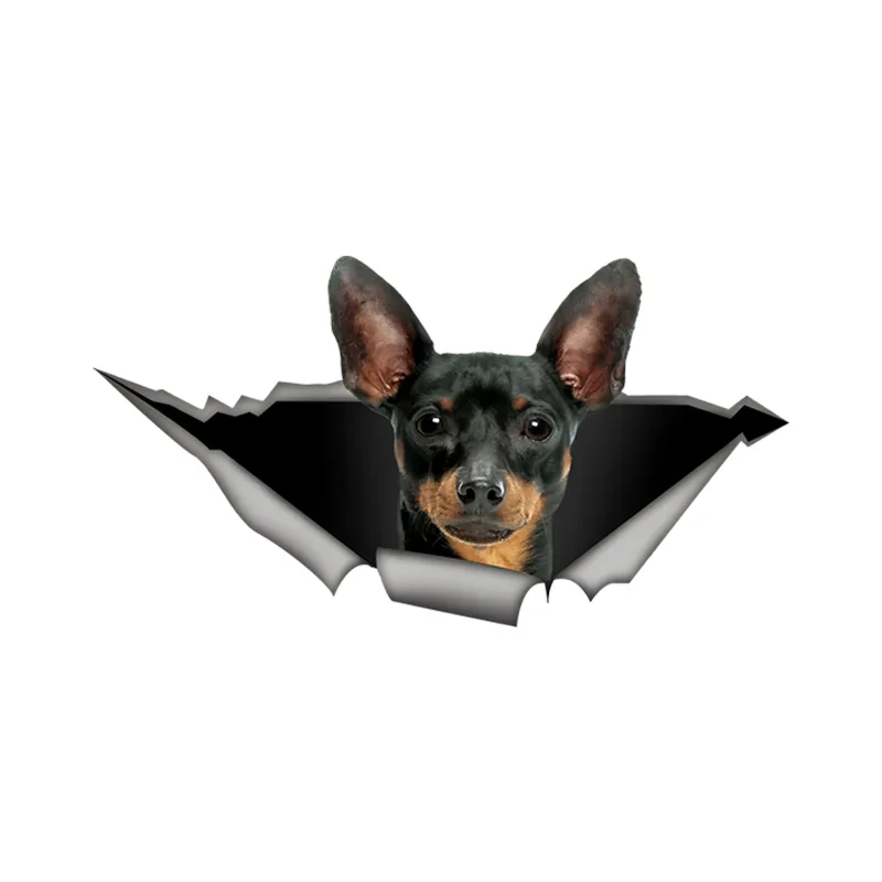 

DK437# Cute Pinscher 3D Break the Wall Car Sticker, Waterproof Vinyl Material Accessories, Interesting Creativity For Cars, Truc