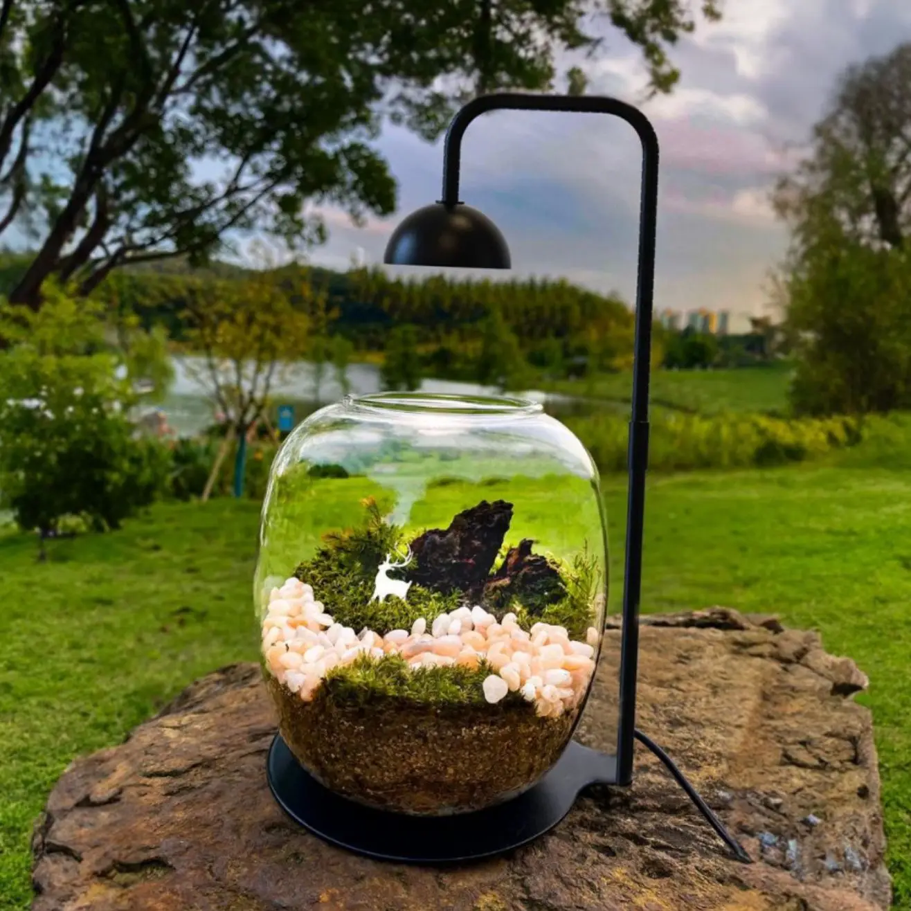 

USB LED Timer Micro Landscape Light for Moss Plant Growth Lamp