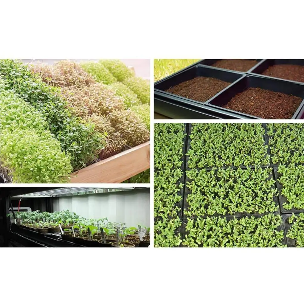 2pcs Seedling Tray Lightweight Seed Starters Mesh Bottom Seedlings Box