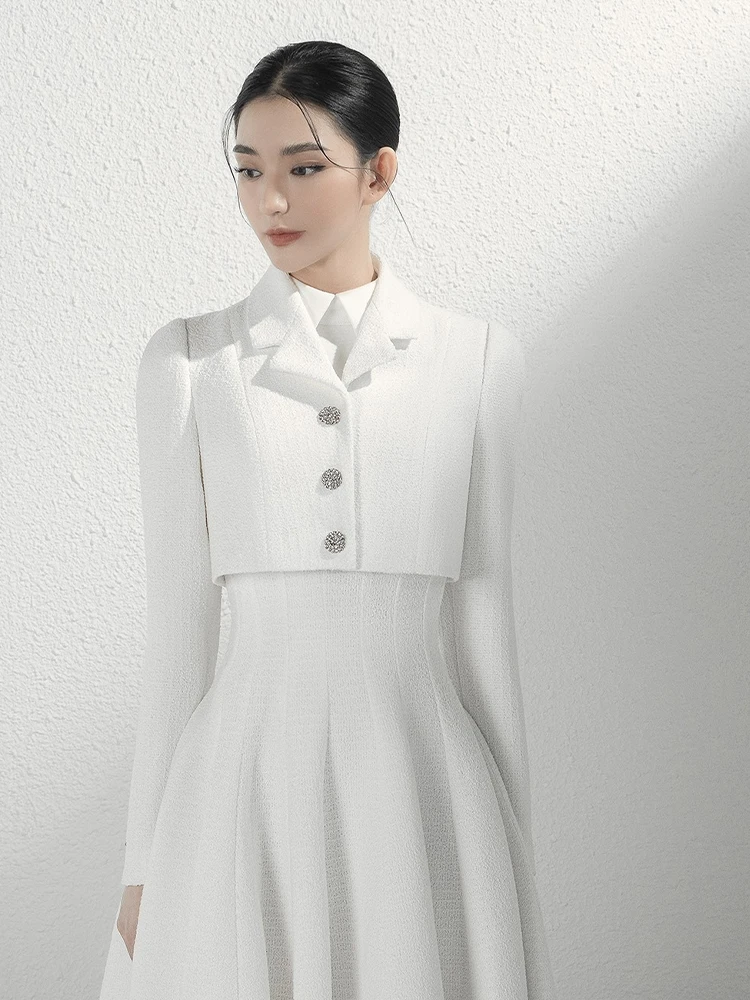 chinese dress ladies Dresses that Hide Belly Fat Women's Blazer Dresses Long Sleeve Button Front  Elegant Solid Blazer Mini Dress Double Breasted Long Jacket Coat Dress  Black Formal Dresses for Women Evening Party 2025 at main image 1