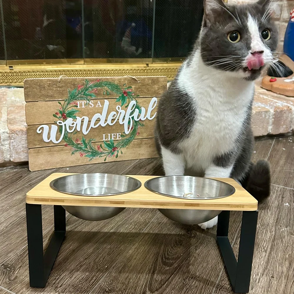 

Double Cat Bowl 15° Tilted Raised Pet Feeder with Metal Stand Wooden Board 2 Stainless Steel Bowls for Cats Kittens & Small Dogs