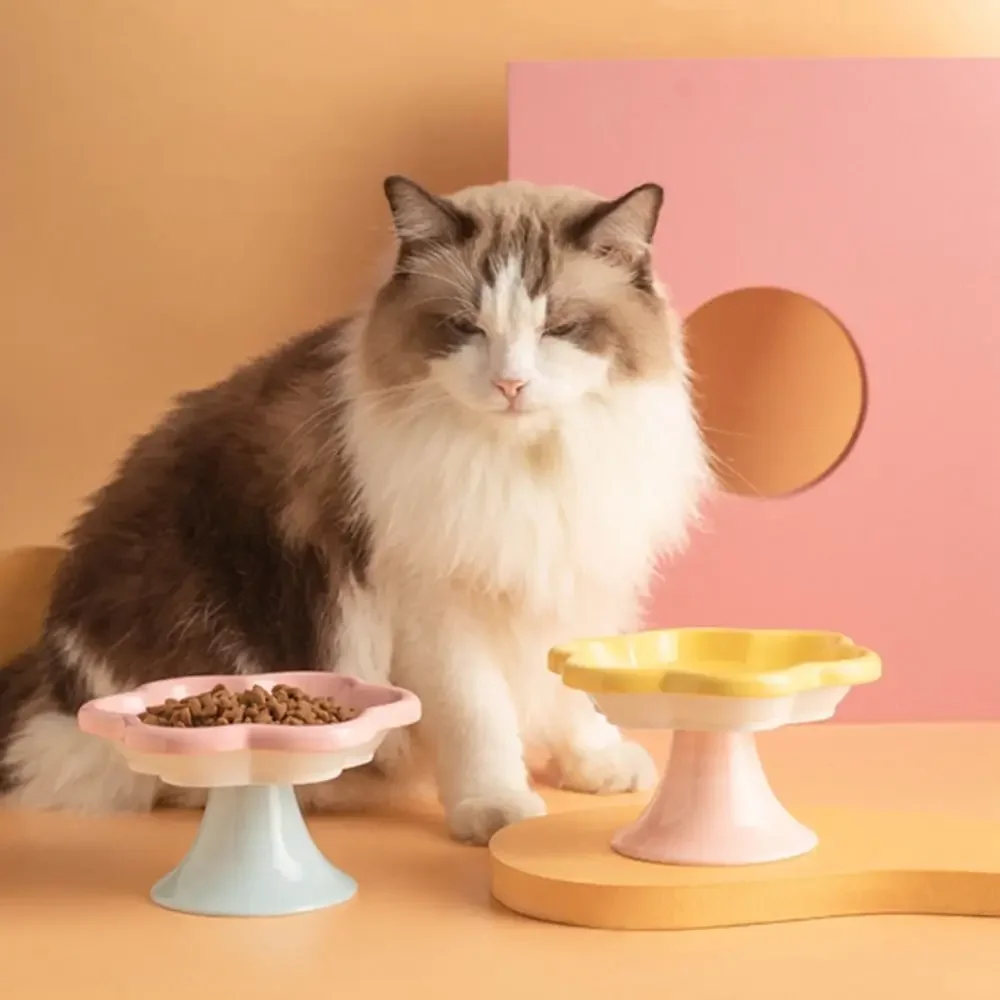Thumbnail 3 - #26 Latest Pet Bowl Stands Offers