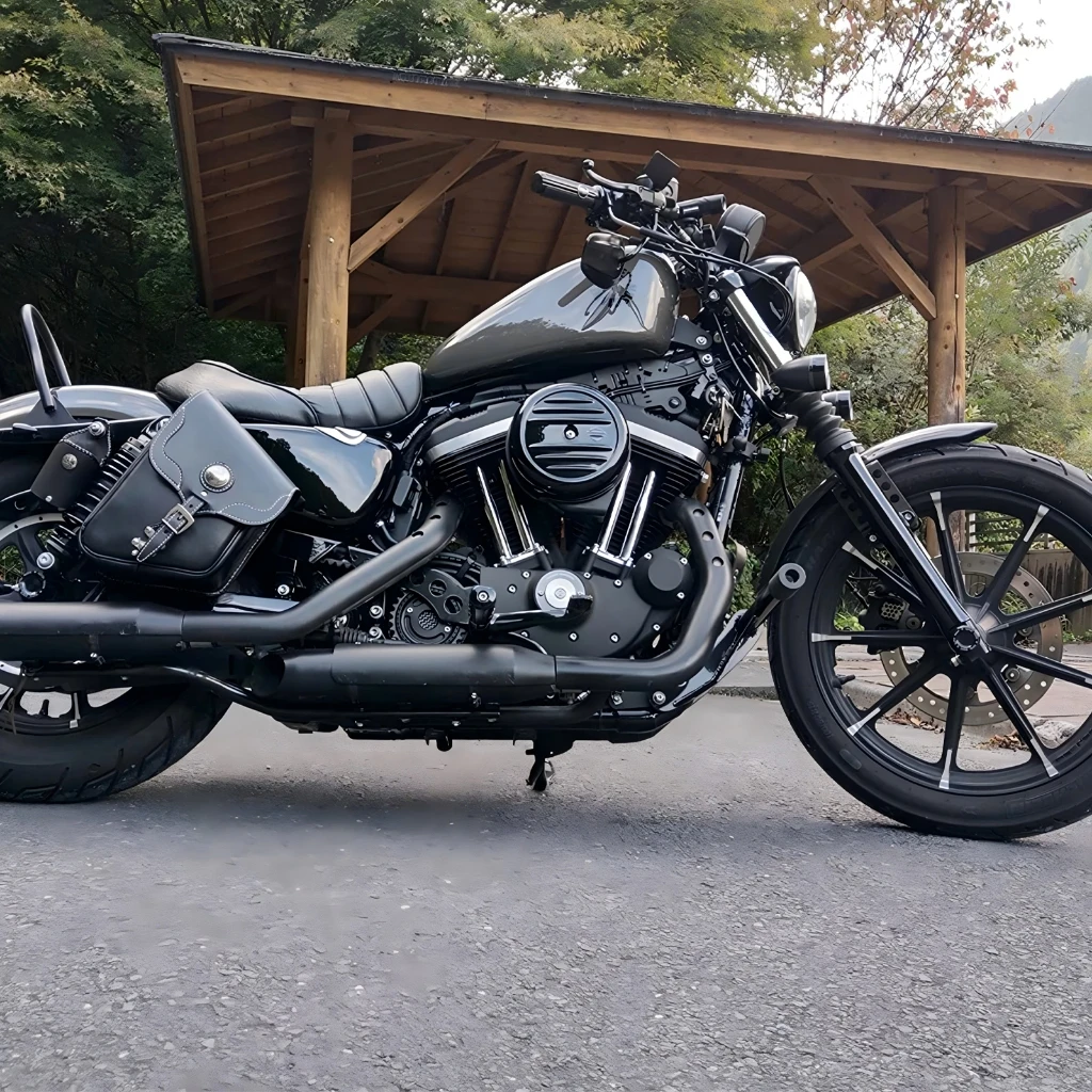 Highway Peg Crash Bar for Harley XL Sportster 2004-2022 Models Iron 883 1200 XL883 XL1200 72 48 XL50 Sportster XR1200 XR1200X