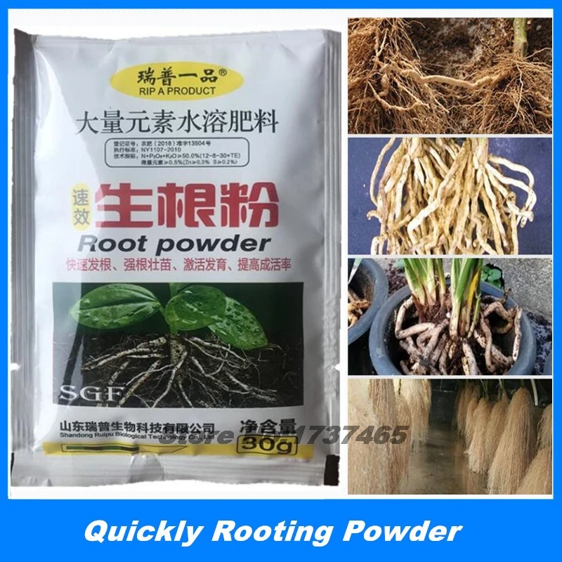 30g Fast Rooting Powder Bonsai Plant Rapid Growth Root Hormone Regulators Growing Germination Aid Fertilizer Garden