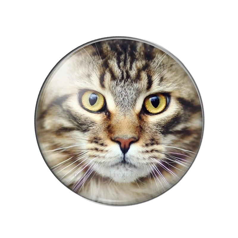 New Cat Face Patterns 10pcs mixed 12mm/14mm/16mm/18mm/20mm/25mm Round photo glass cabochon flat back Making findings