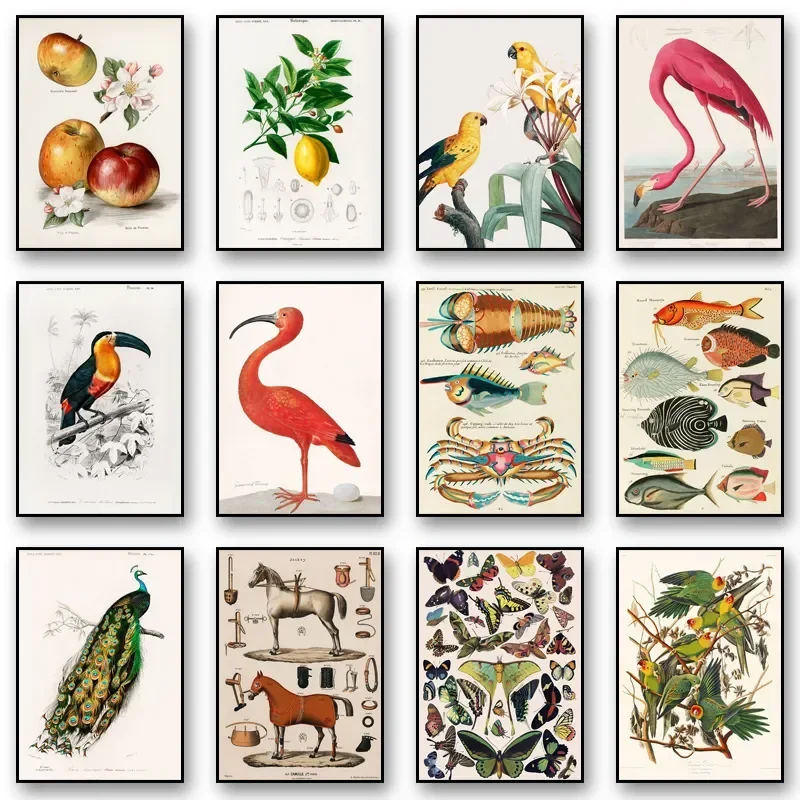 

Винтажные иллюстрации, животные, шелковые картины, постеры и принты с розовым фламинго, настенные картины для украшения дома