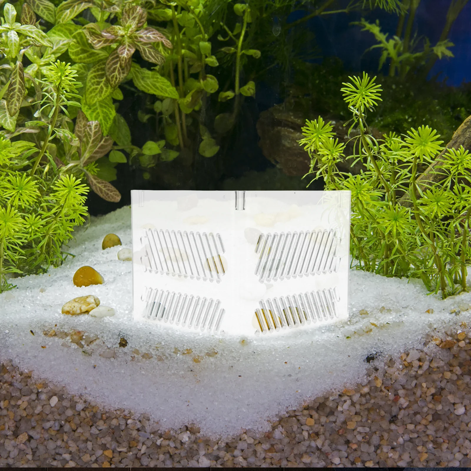 

Aquarium Partition Acrylic Grid Divider Fish Tank Dual Hole Design Prevents Sand Entry Extends Pump Life Fish Tank