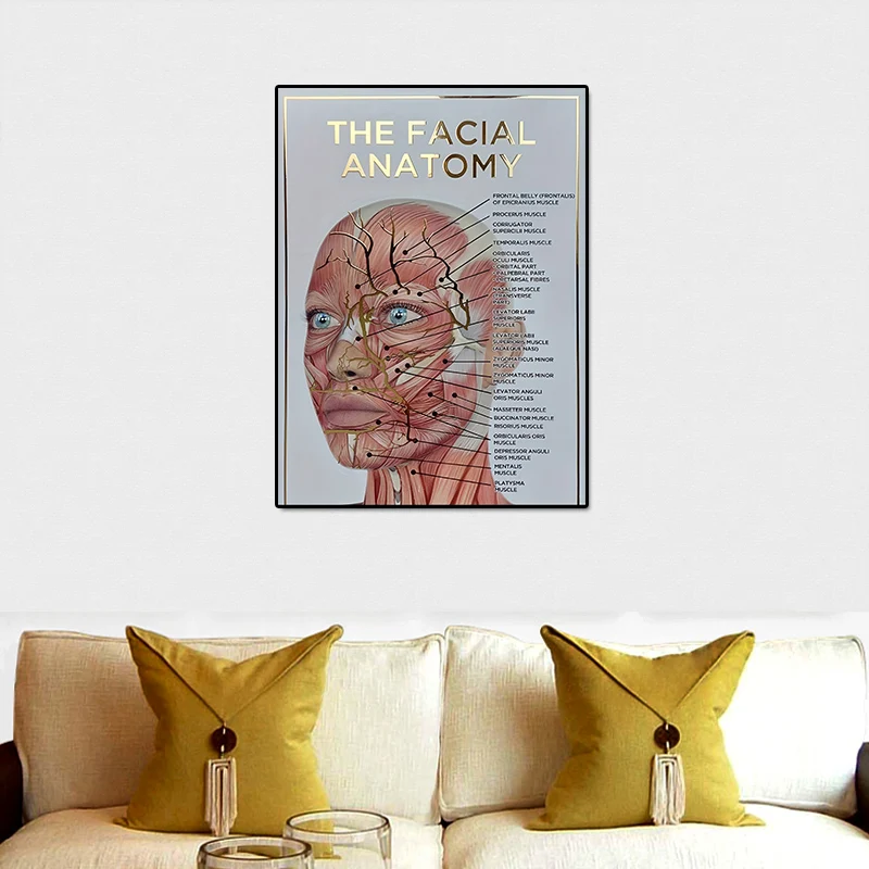 Facial Muscle Anatomy Poster Home Decor Wall Art Canvas Painting For Living Room Office Hotel Decoration Artwork Unframed