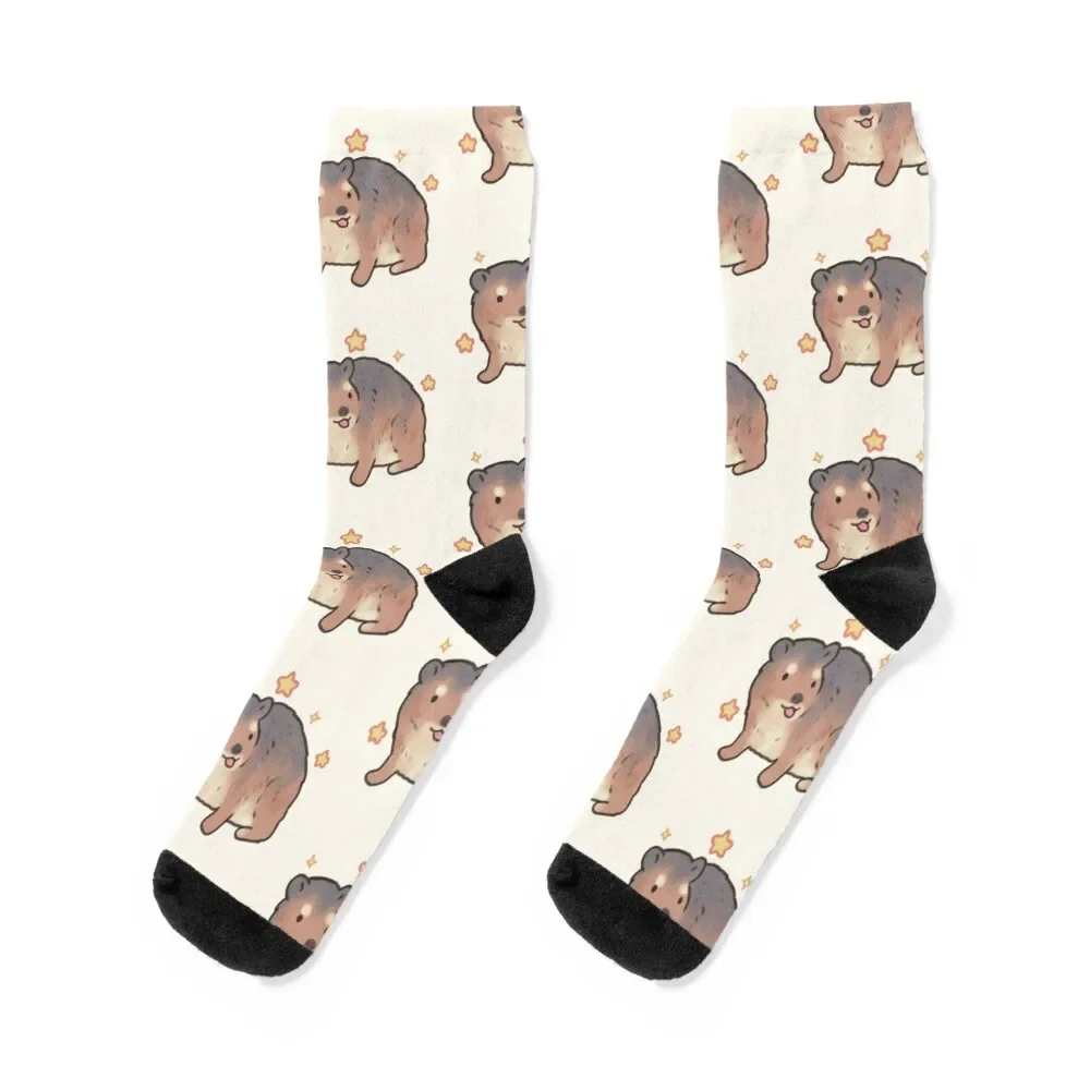 

Funny hyrax art Socks Antiskid soccer colored floral Christmas Socks Woman Men's