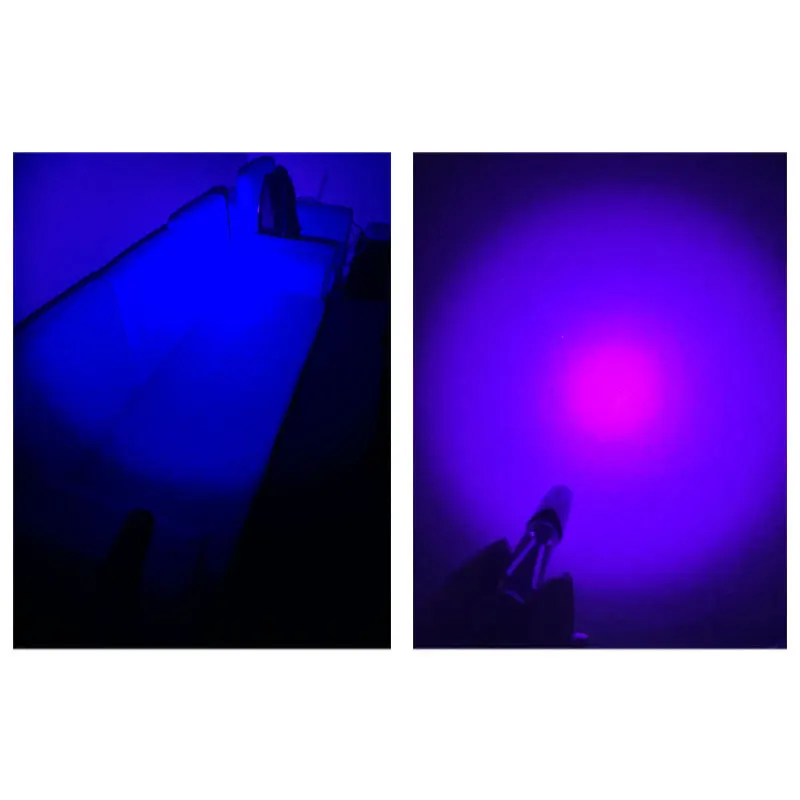 ANYGO-linterna LED ultravioleta UV de 5W, luz negra para curado de pegamento, Detector de dinero, manchas de orina de mascotas, insectos de cama,