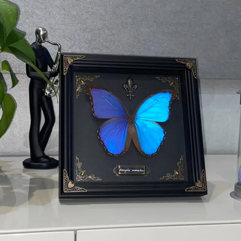 

Morpho Menelaus Real Butterfly Specimen Natural Wing Decoration Painting Minimalist Decoration Painting Gothic Decor Sculpture