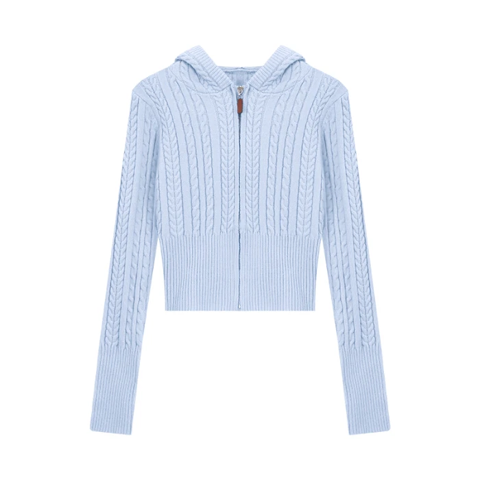 

2025 Autumn Casual Knitting Long Sleeve Hooded Cardigans Korean Fashion Women Solid Color Zipper Blue Ladies Knitted Sweater