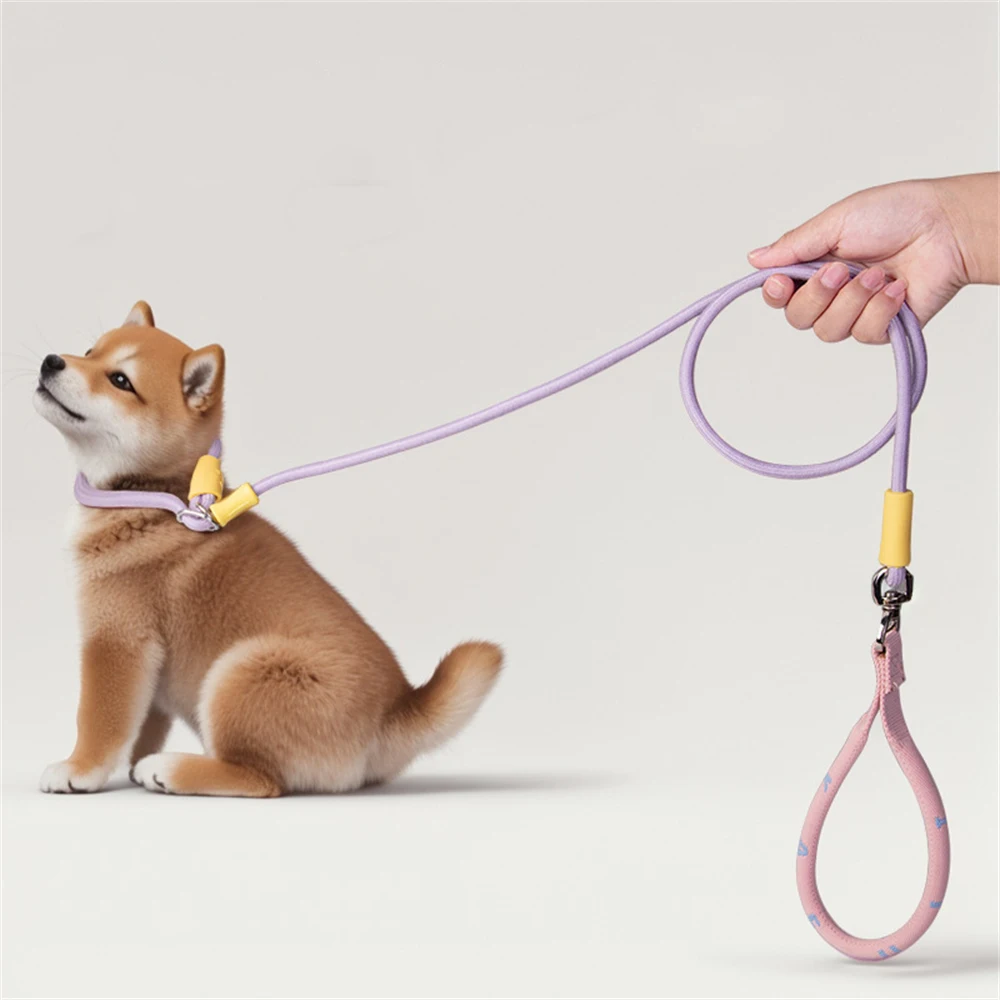 

Strong Dog Leash Slip Rope Lead with Comfortable Handle Pet Traction Rope Adjustable Loop Collar Training Leashes for Small Dogs