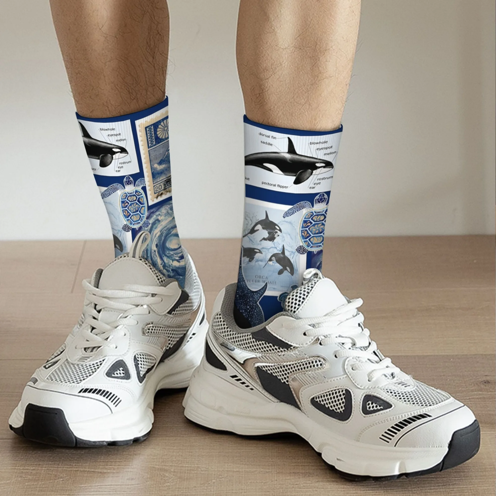 海洋愛好家のための教育ギフト 靴下 レトロな科学イラストスタイルのスタンプシールデザイン ユニークなノベルティソックス