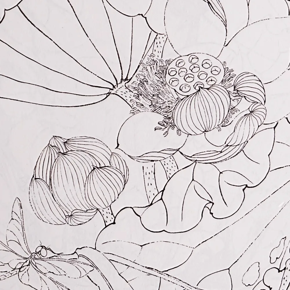 Livro para colorir fácil Baihe - Desenhos relaxantes de desenho de linha chinesa Pintura manual simples para todas as idades