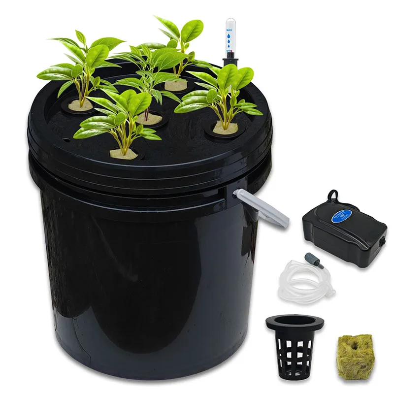 DWC Deep Water Culture Hydroponic System Complete Indoor Hydroponics System for Herbs Lettuce Vegetables Indoor Plants