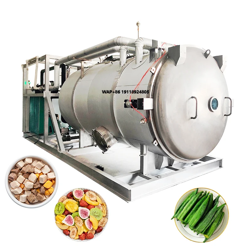 

Freeze Dryer for Farm Use | Fresh Fruit Vegetable Preservation Equipment