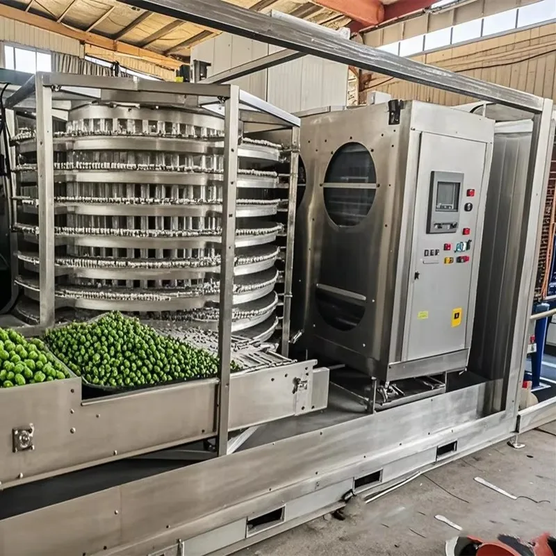 Industrial Spiral Tunnel Freezer for Meat Seafood Vegetables IQF Quick Frozen Food Quick Freezing Cold Room Customized