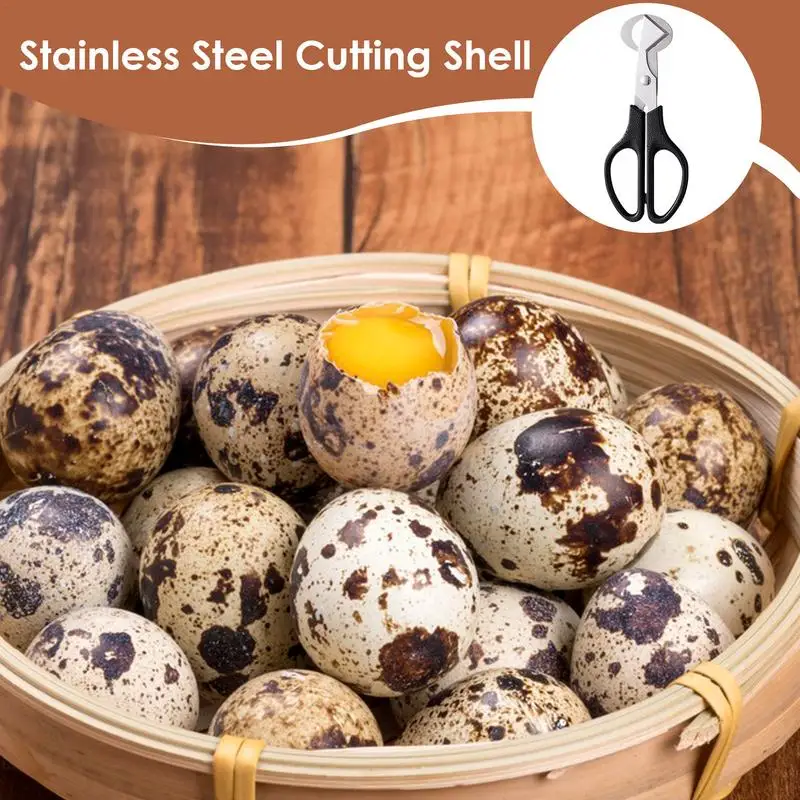 Multifunction Quail Egg Scissor Bird Cutter Opener Stainless Steel Quail Egg Peeler Machine Kitchen Tool Clipper Cigar Cracker