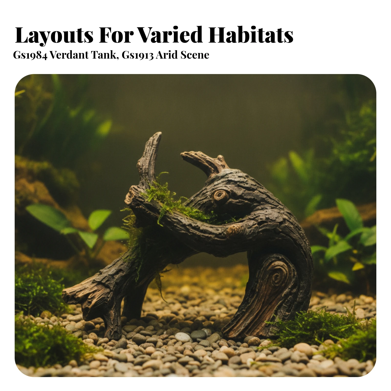 Ramo di Legno per Acquario in  - Aquarium Driftwood recensione e prezzo
