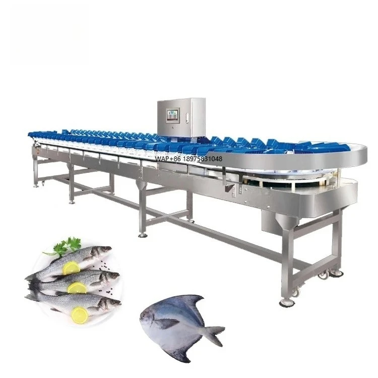 High Efficiency Slaughtering Equipment for Chicken Leg Claws Fish Weight Sorting Machine Steel Slaughter Line  Automatic
