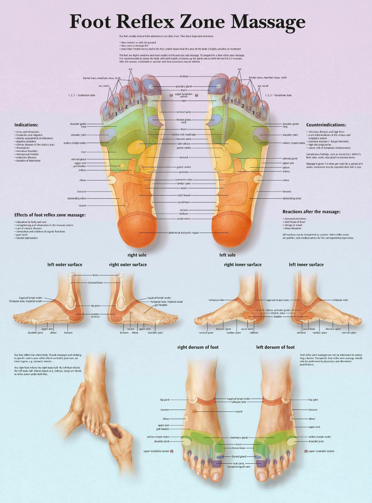 Reflex Massage Zone of the Foot Art Film Print Silk Poster Home Wall Decor 24x36inch