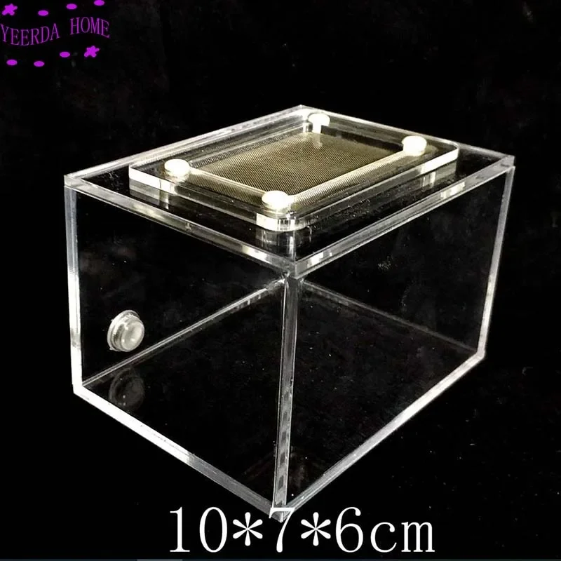 

10x7x6cm Ant Reptile Box with Breathable Net Feeding Box ant nest active area ,ant farm acryl box