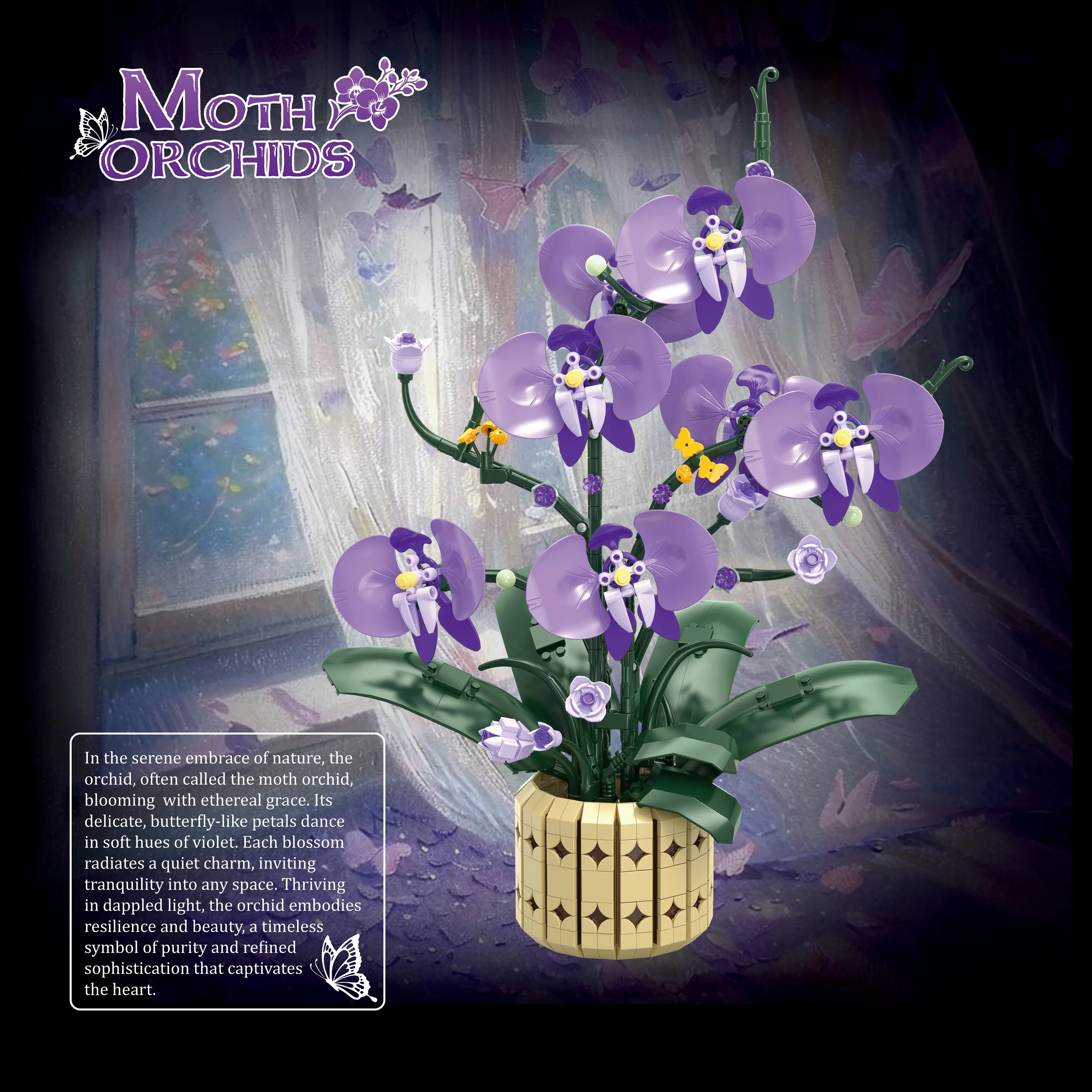 832 adet Phalaenopsis orkide M - Orchid Kids Education incelemesi ve fiyatı