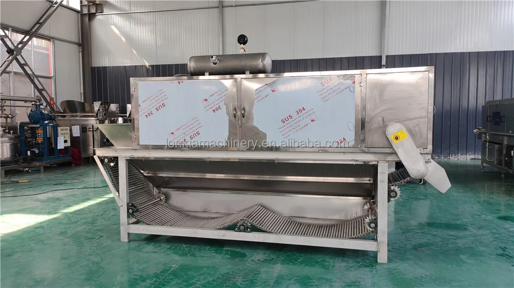 LONKIA Professional 95% Peeling Rate Commercial Used Chain Type Dry Garlic  Peeler Machine