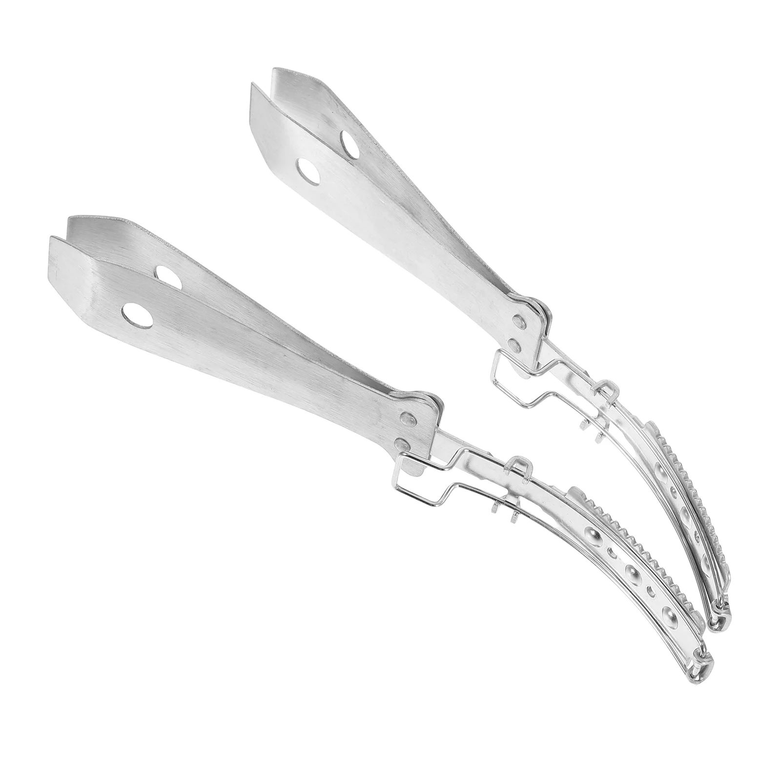 2 Pcs Shaver Scraper Animal Hair Pig Removing Tool Remover Shaving Stainless Steel Removers