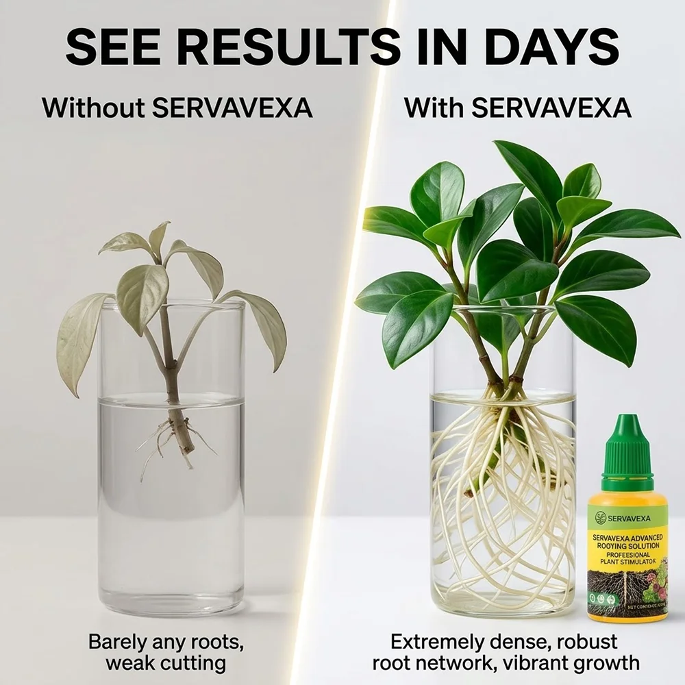 SERLAVEXA Hormone de racinemen - Aquarium Plant Liquid Fertilizer avis et prix