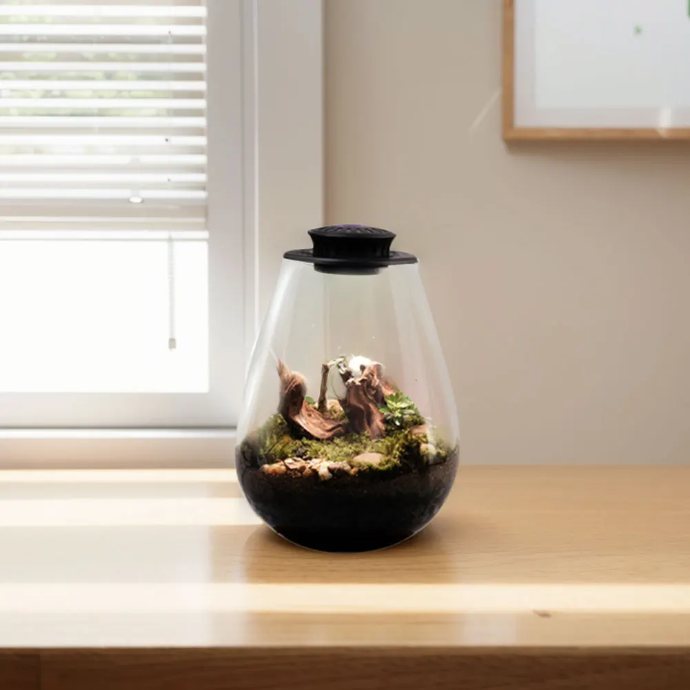 Micro Landscape Plant Growth Lamp Fern Moss Micro-Landscape Grow Light 6500K Plant Grow Light for Miniature Gardening Landscape