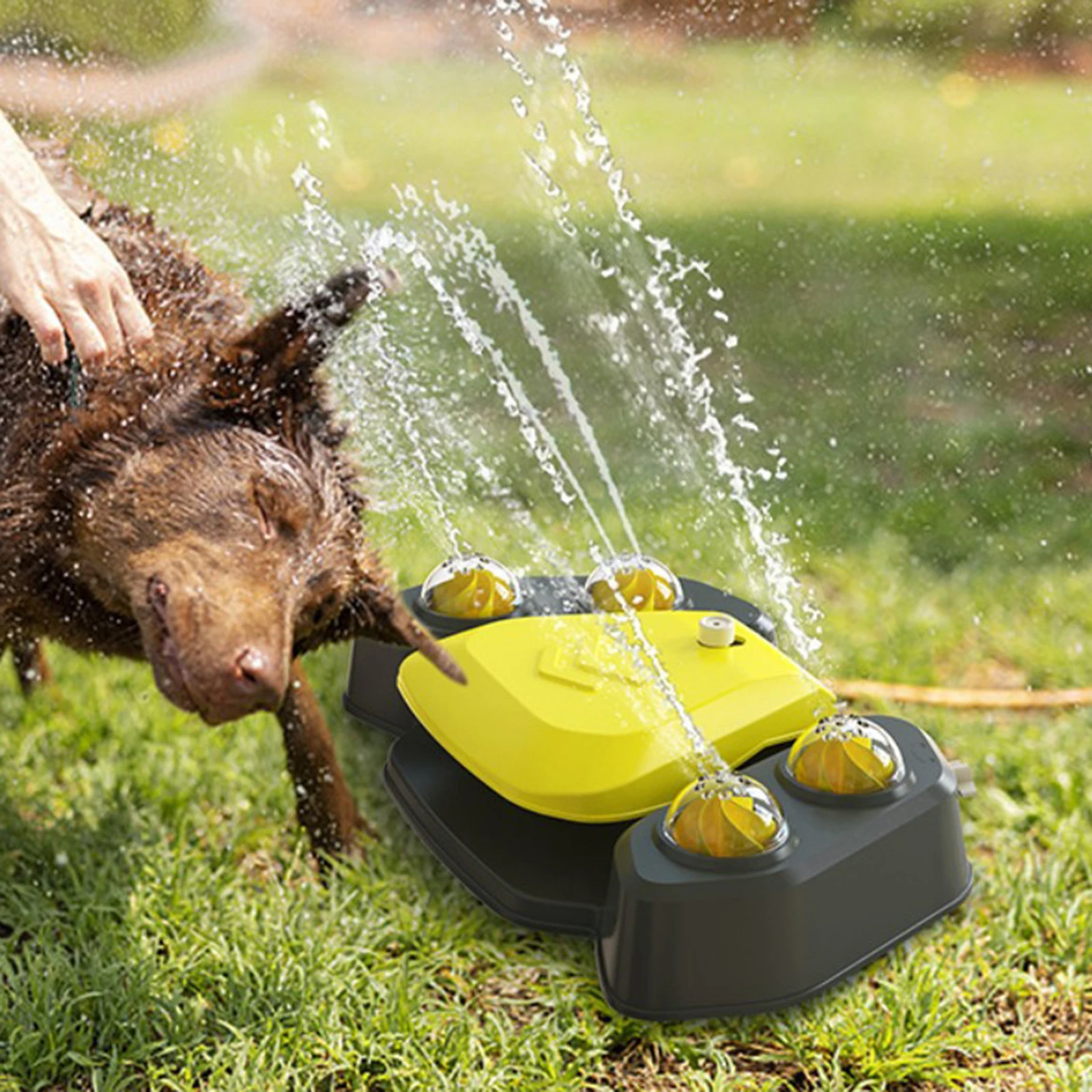 Garden Dog Water Fountain Step On Press Small Medium Large Dogs Sprinkling Toy Bathing Shower Waterer Improve IQ Pet Drinking