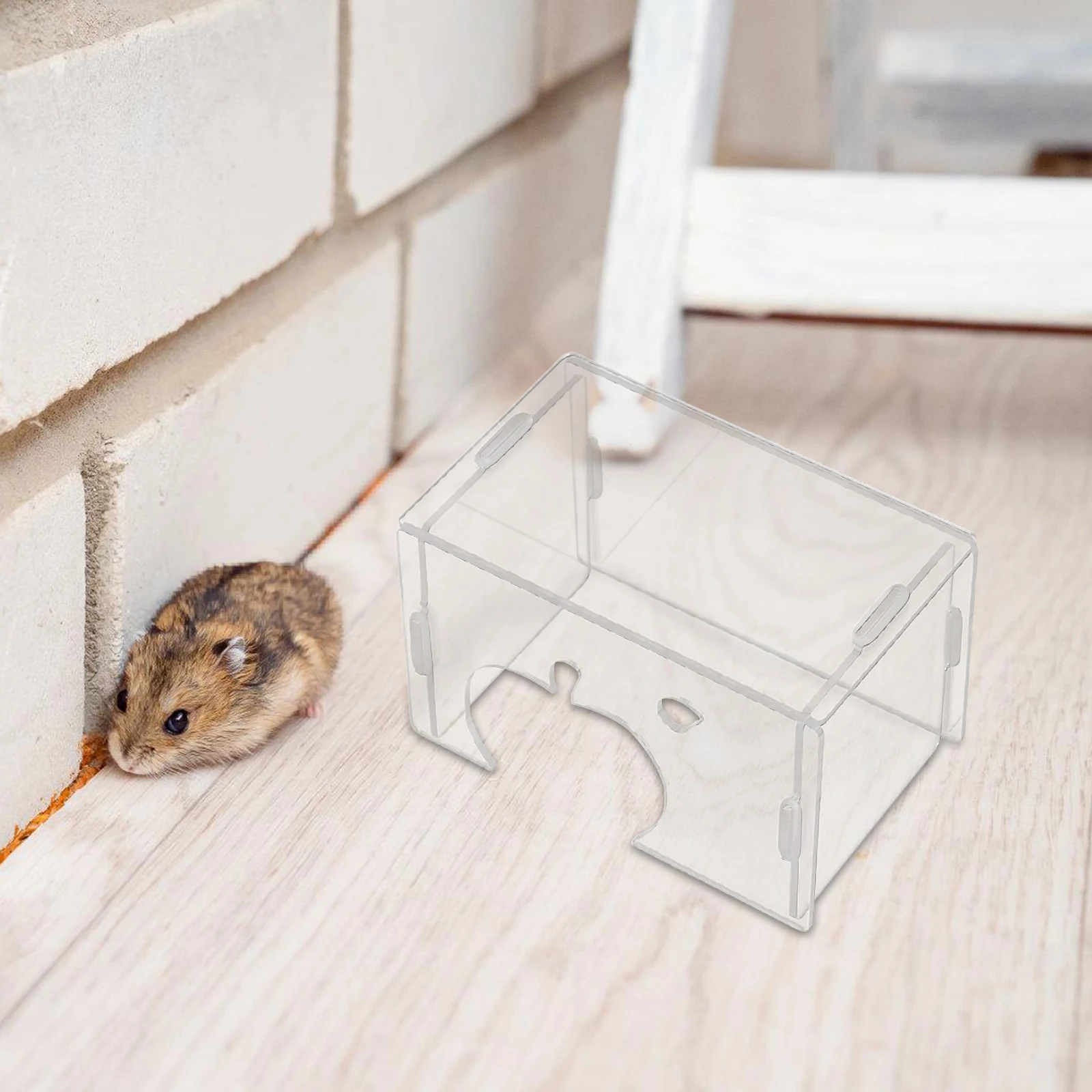 Hamster transparente esconderijo casa acrílico transparente espaçoso destacável pequeno habitat para animais de estimação para hamsters anões gerbils ratos ratos