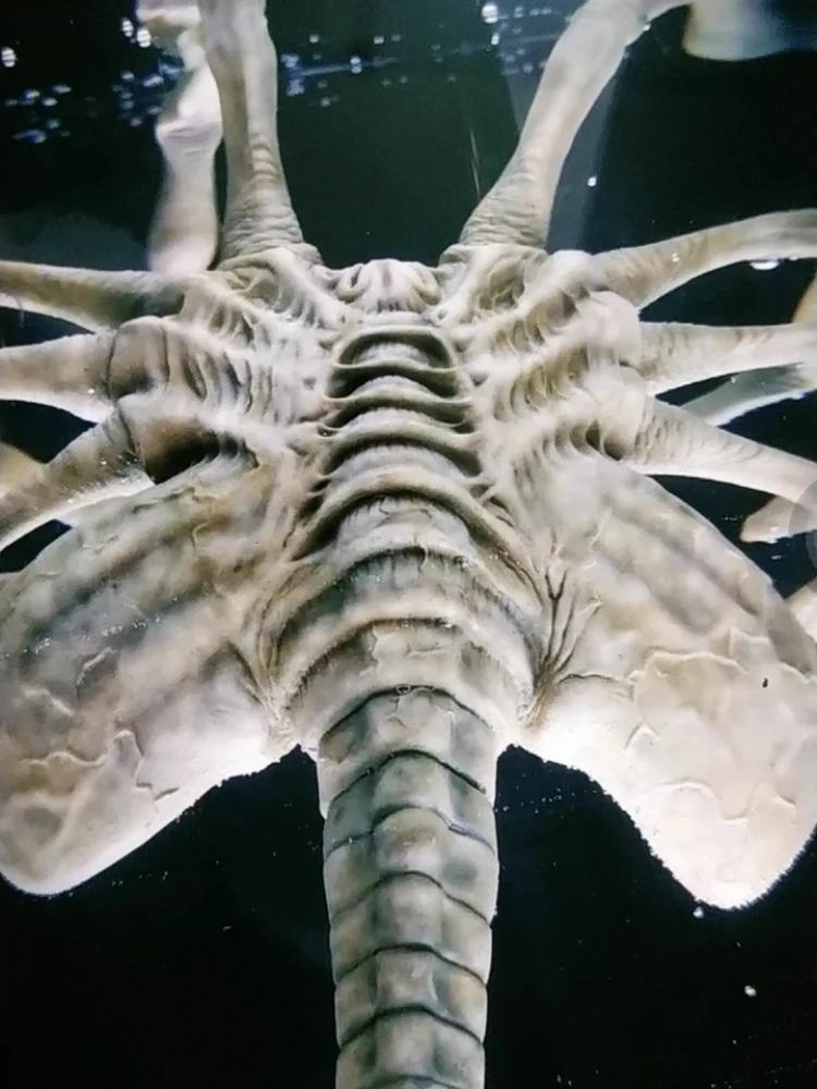 

52TOYS Alien Egg Wind - up Toy with Facehugger Action Figure Model FigLite Series Alien Franchise Collectible For Fans