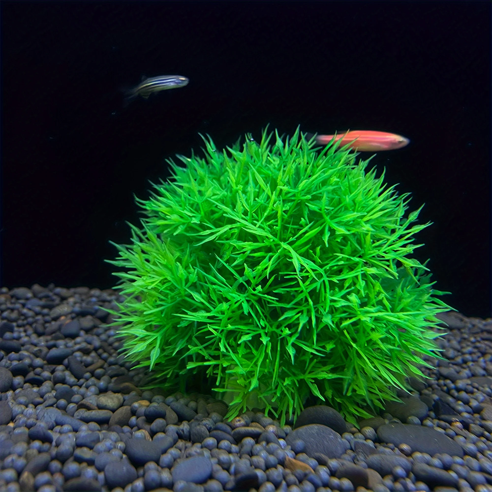 Aquarium Fish Colour - 3-Farbiger Dekorativer Künstlicher Aquarium-Grasball – Langlebige